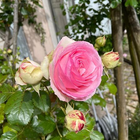 博格斯 Belle Fontaine酒店 外观 照片